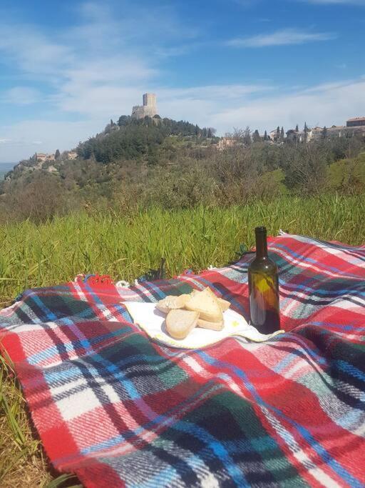 Appartement La Casina Di Nonna Giulia à Castiglione dʼOrcia Extérieur photo