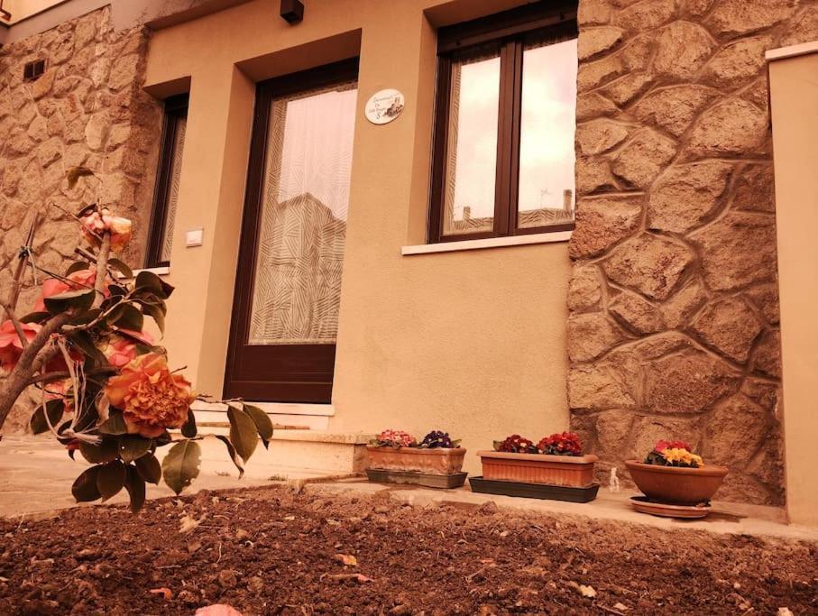 Appartement La Casina Di Nonna Giulia à Castiglione dʼOrcia Extérieur photo