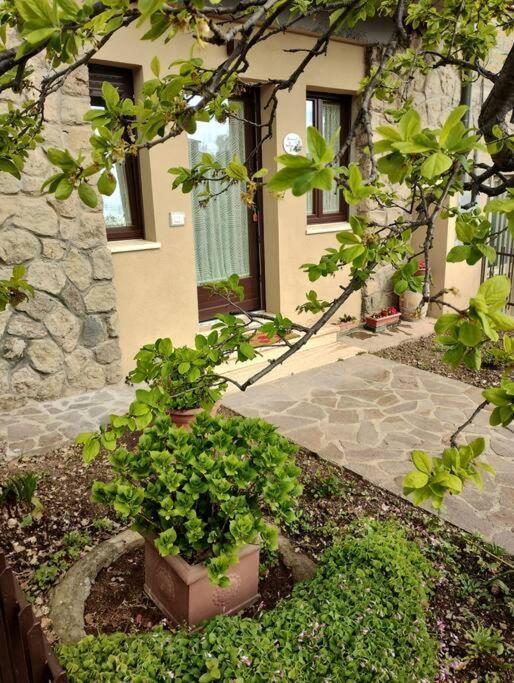 Appartement La Casina Di Nonna Giulia à Castiglione dʼOrcia Extérieur photo