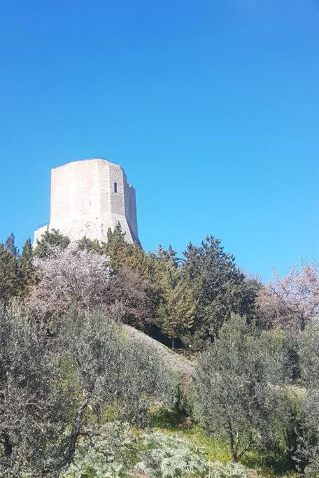 Appartement La Casina Di Nonna Giulia à Castiglione dʼOrcia Extérieur photo